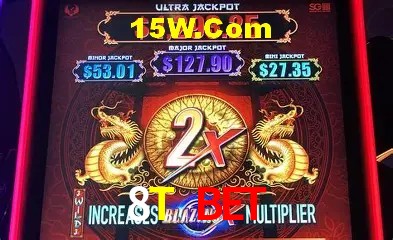 Sistemas de Segurança 8T Bet